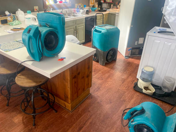 Best Sewage cleanup and water damage restoration  in Wellsville, UT