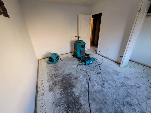 Best Mold removal after water damage  in Wellsville, UT