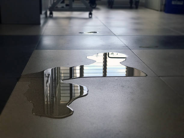 Best Water damage restoration near me  in Wellsville, UT