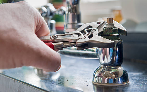 Best Professional water damage repair  in Wellsville, UT