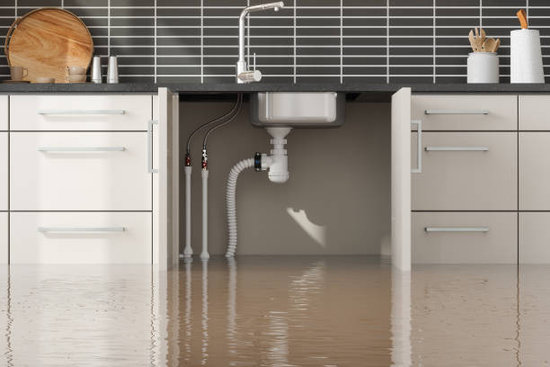 Best 24-hour water damage restoration  in Wellsville, UT