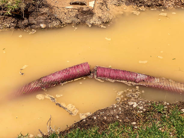 Best 24/7 water damage repair  in Wellsville, UT