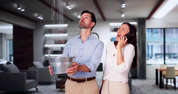 Best Basement water damage restoration  in Wellsville, UT