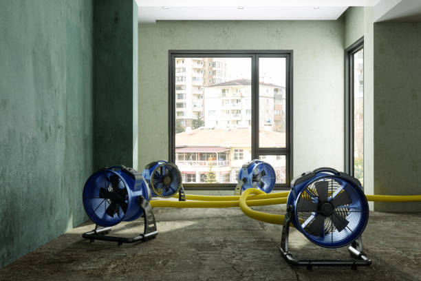 Best Local water damage restoration  in Wellsville, UT