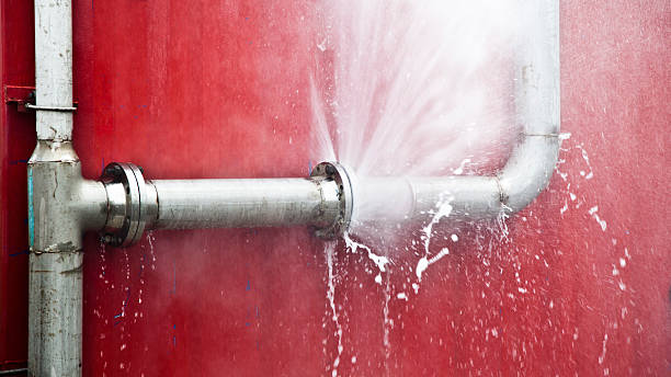 Best Water damage restoration specialists  in Wellsville, UT